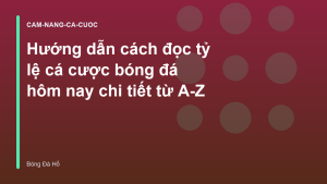 Read more about the article Hướng dẫn cách đọc tỷ lệ cá cược bóng đá hôm nay chi tiết từ A-Z